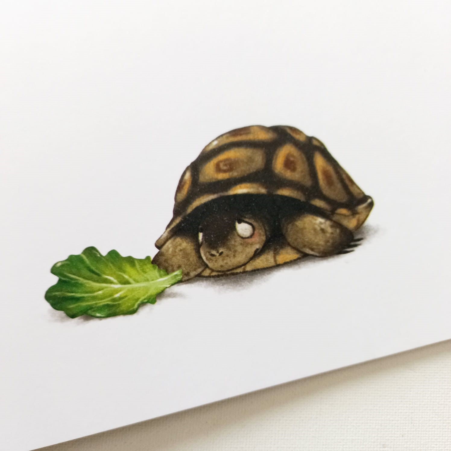 Un montón de amigos todos juntos Un montón de amigos todos juntos